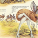 Image for article titled The horrors of evolution: the 10 freakiest animals of speculative biology